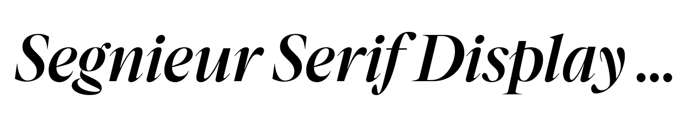Segnieur Serif Display Medium Italic